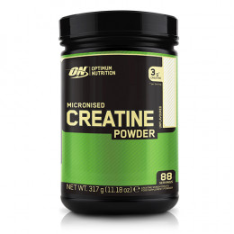 Optimum Nutrition Creatine Powder , Creatine - MonsterKing