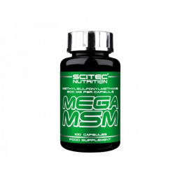 Scitec Nutrition Mega MSM, Gelenkernährung - MonsterKing