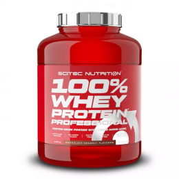 Scitec Nutrition 100 Whey Protein Professional, Protein - MonsterKing